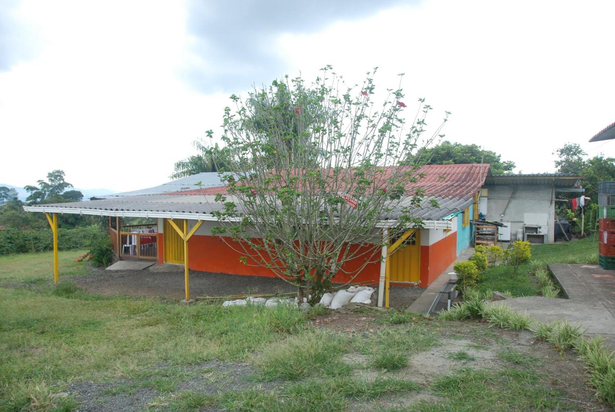 Finca En El Quindio Arrullo Cafetero Кимбая Екстериор снимка
